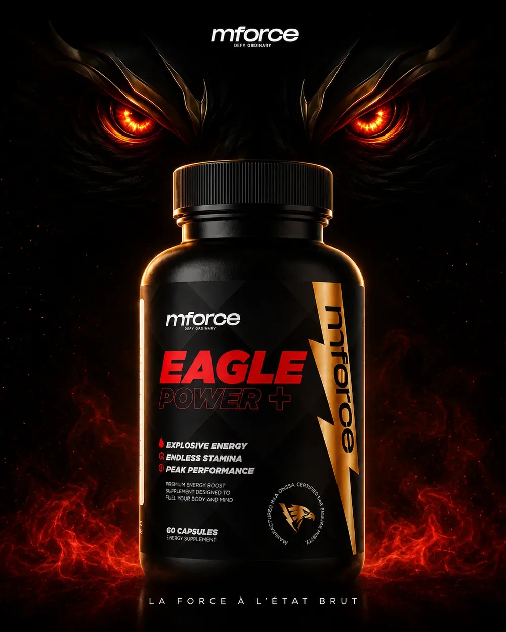 EAGLE POWER + — le regard du prédateur